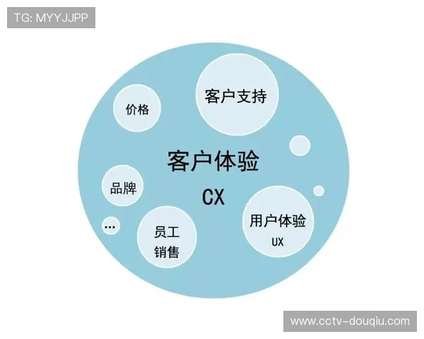 付费观看与广告支持模式融合 平衡用户体验与收益